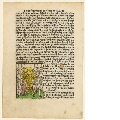 Sieben Buchseiten aus dem Deutschen Heiligenleben. Winterteil, Augsburg bei Anton Sorg, 1488